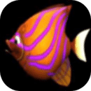 BigFishEatSmallFish 1.0