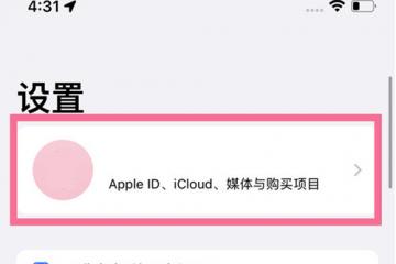 苹果13如何添加ID联系人 苹果13添加ID联系人步骤一览