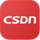 CSDN开发助手
