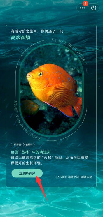 QQ守护海洋生物怎么参与 QQ守护海洋生物参与教程